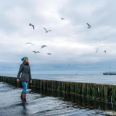 Dwarsloeper Whg Dwa26 Apartment Boltenhagen (Ostseebad)